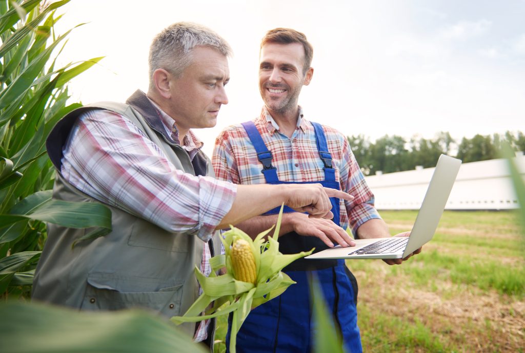 entreprise agricole